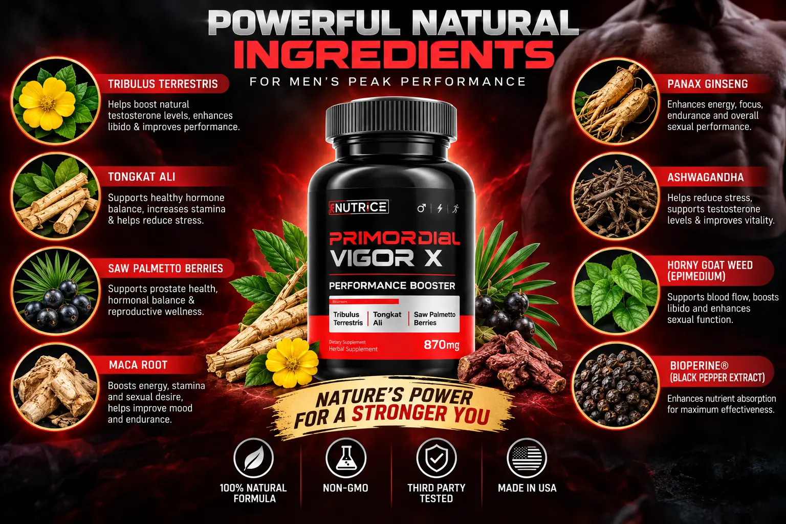 Primordial Vigor X ingredients overview